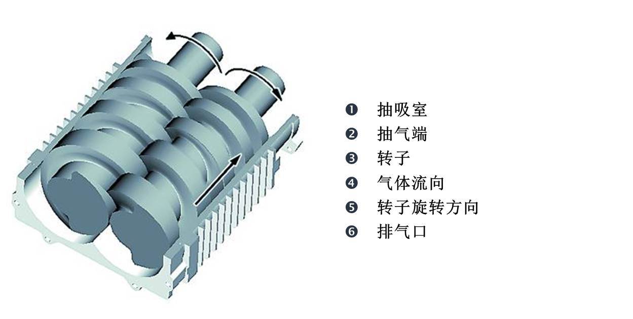 莱宝SP630悬臂式螺杆真空泵是怎么工作的