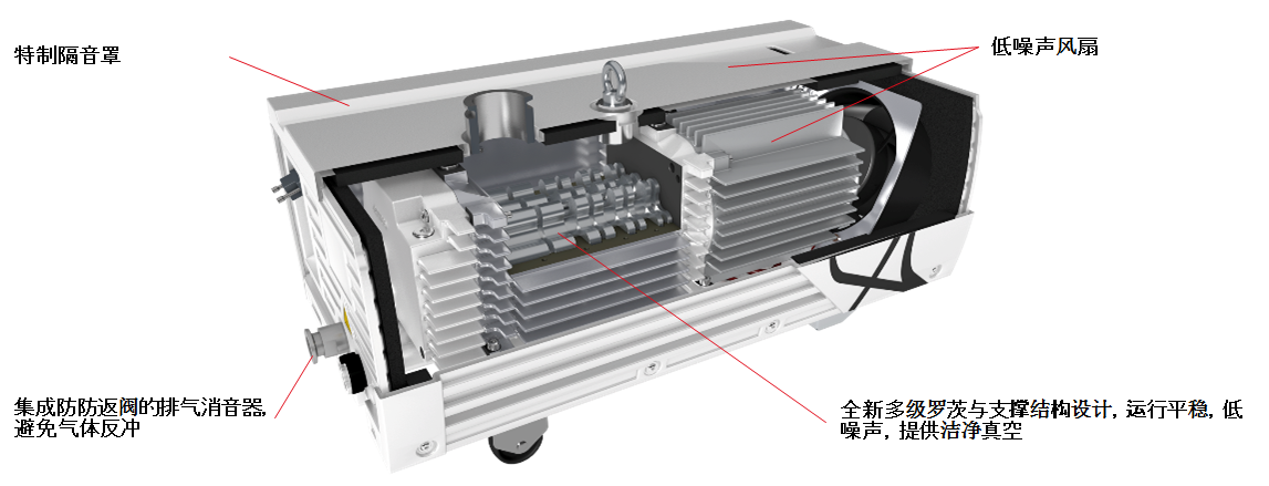莱宝ECODRY plus多级罗茨真空泵剖分